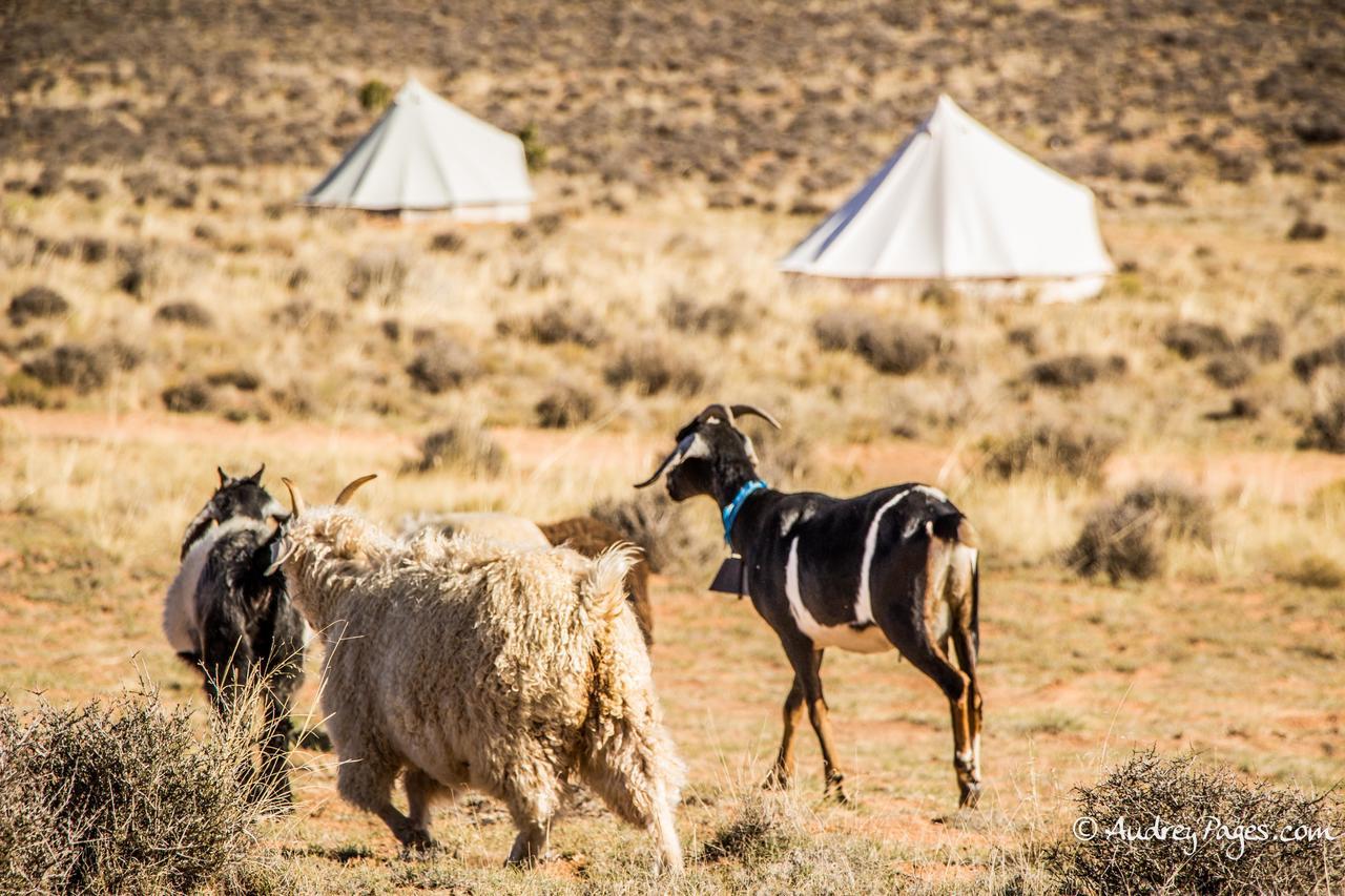 Shash Dine' Ecoretreat Пейдж Екстериор снимка